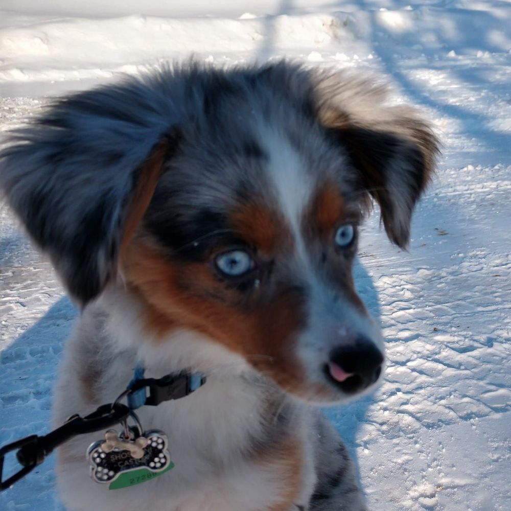 Meet your Posher, Julie